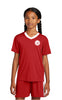 Nativity PE V-Neck